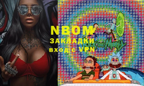 сатива Зеленокумск