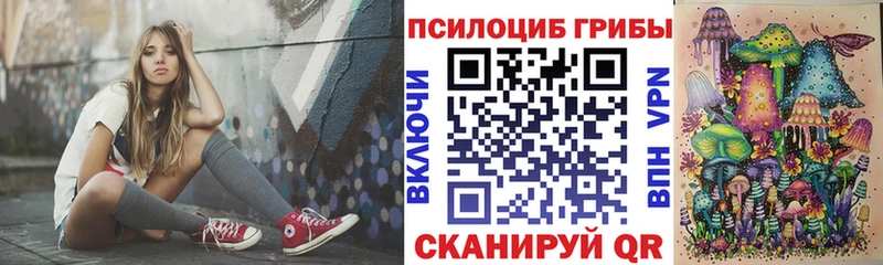 Псилоцибиновые грибы Psilocybe  Купить закладки  Гаврилов Посад 