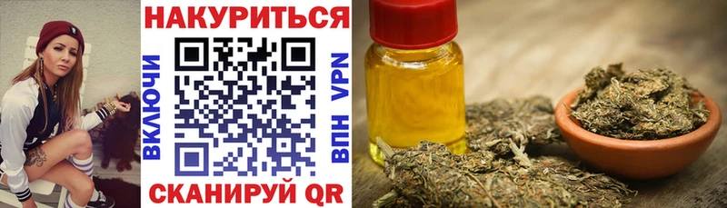 Купить  Гаврилов Посад  Каннабис сатива 